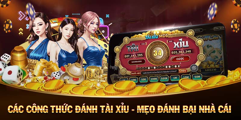 QH88 Dailylodeonline - Daily Gaming Portal